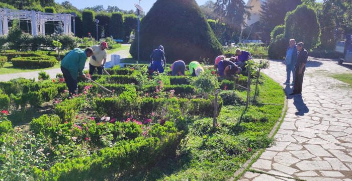 staff Bold public Parcul Rozelor – lucrările de întreținere sunt în plină desfășurare –  Buletin de Timișoara