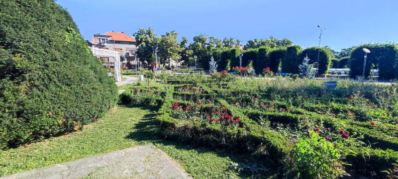 staff Bold public Parcul Rozelor – lucrările de întreținere sunt în plină desfășurare –  Buletin de Timișoara